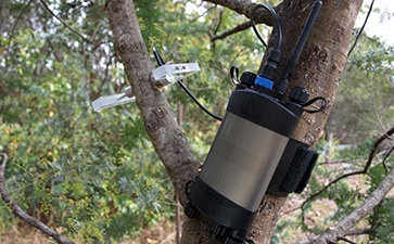 原位莖桿水勢(shì)測(cè)量?jī)x