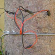 莖流（液流）測(cè)量系統(tǒng)