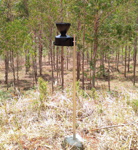 圖片關(guān)鍵詞