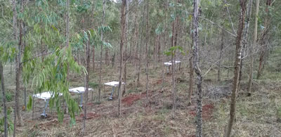 圖片關(guān)鍵詞