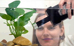 Monitoring Pen植物葉綠素熒光測量儀