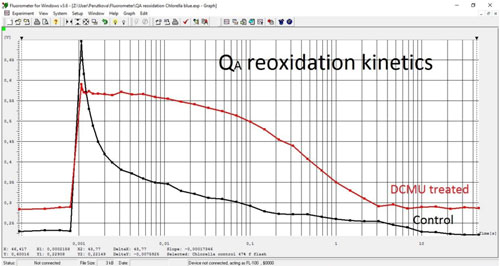 FL 6000雙調制葉綠素熒光儀