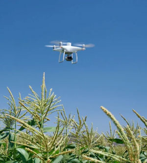 P4精靈多光譜無人機(jī)