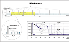 AquaPen藻類葉綠素熒光測量儀