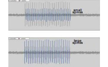 SSR昆蟲觸角單感覺器測量系統