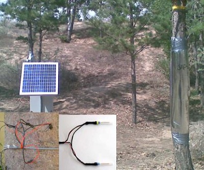 PE-SF08 植物插針莖流系統