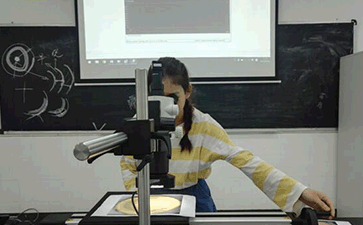 古樹名木保護項目配套儀器順利通過廣東輕工職業技術學院驗收