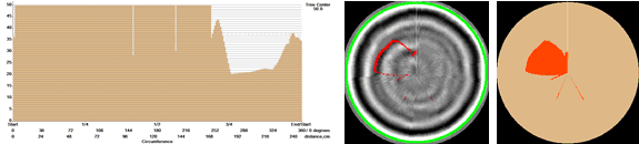 TRU樹木雷達和SSR昆蟲觸角單感器測量系統在東北林業大學順利驗收