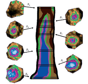 TRU樹木雷達(dá)、PICUS 3彈性波樹木斷層畫像診斷儀在昆山市綠化委員會(huì)順利驗(yàn)收