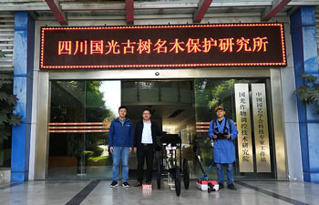 TRU樹木雷達檢測系統為古樹名木保護保駕護航