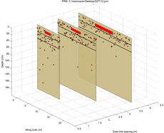 TRU樹木雷達檢測系統為古樹名木保護保駕護航