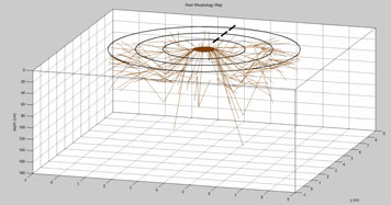 TRU樹木雷達檢測系統為古樹名木保護保駕護航