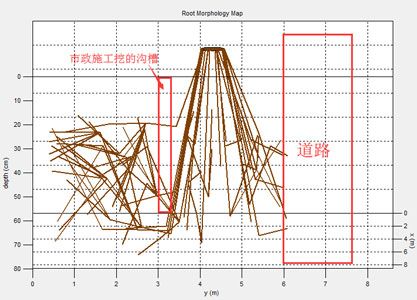TRU樹木雷達、Picus 3和TreeQinetic樹木拉伸測試儀落戶長春市園林植物保護站