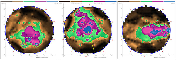 TRU樹木雷達、Picus 3和TreeQinetic樹木拉伸測試儀落戶長春市園林植物保護站