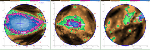 點將科技技術(shù)團隊順利完成1600年樹齡古樟樹健康檢測