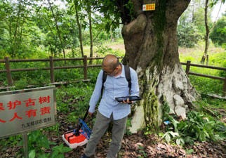 TRU樹(shù)木雷達(dá)助力古樹(shù)名木保護(hù)