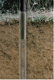 PMT-Root720根系動態(tài)監(jiān)測系統(tǒng)