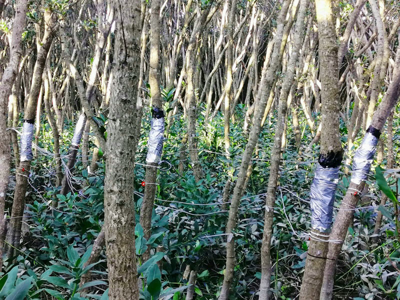 圖片關(guān)鍵詞