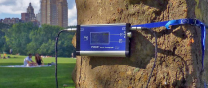 1616471726780303.png blob.png