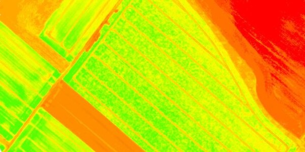 圖片關鍵詞 圖片關鍵詞