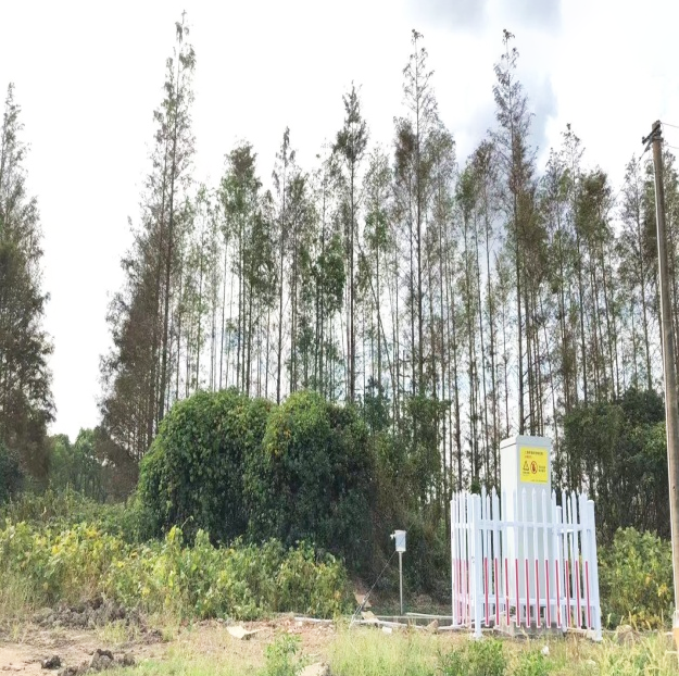 圖片關(guān)鍵詞