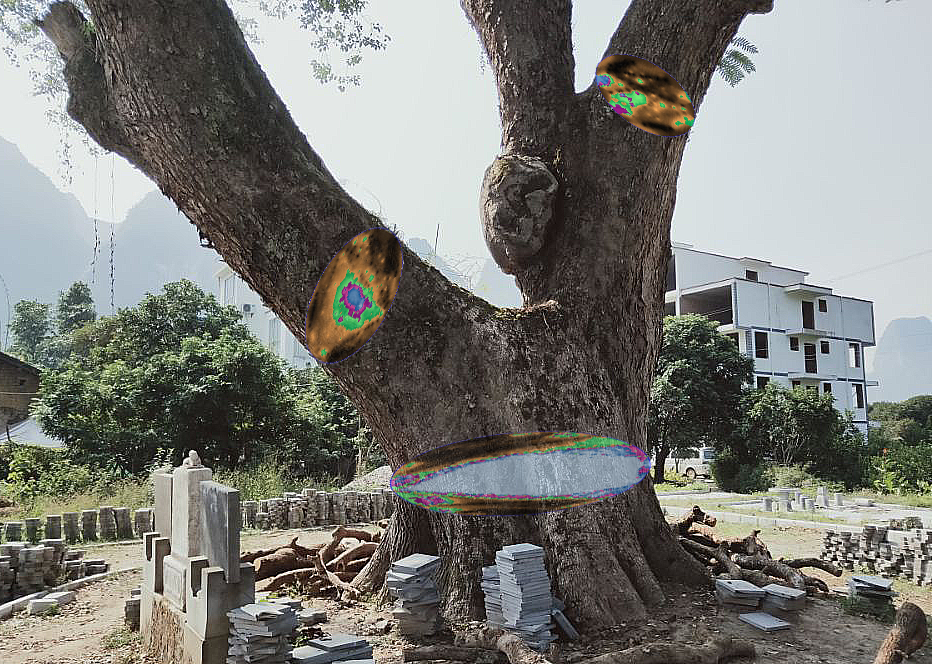 圖片關(guān)鍵詞 圖片關(guān)鍵詞