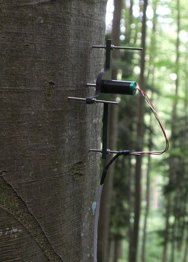 莖桿生長變化傳感器