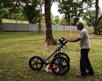 TRU樹木雷達檢測系統