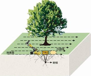 TRU樹木雷達檢測系統