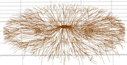 TRU樹木雷達檢測系統