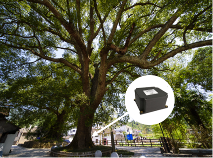 樹木傾斜智能監(jiān)測系統(tǒng)