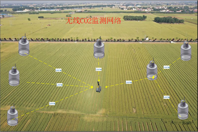 空氣（農田）CO2監測