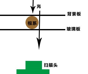 圖片關(guān)鍵詞