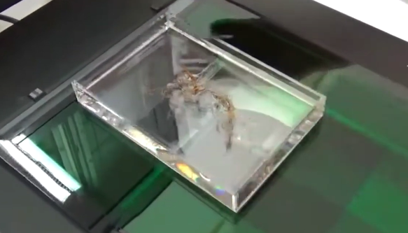 圖片關(guān)鍵詞