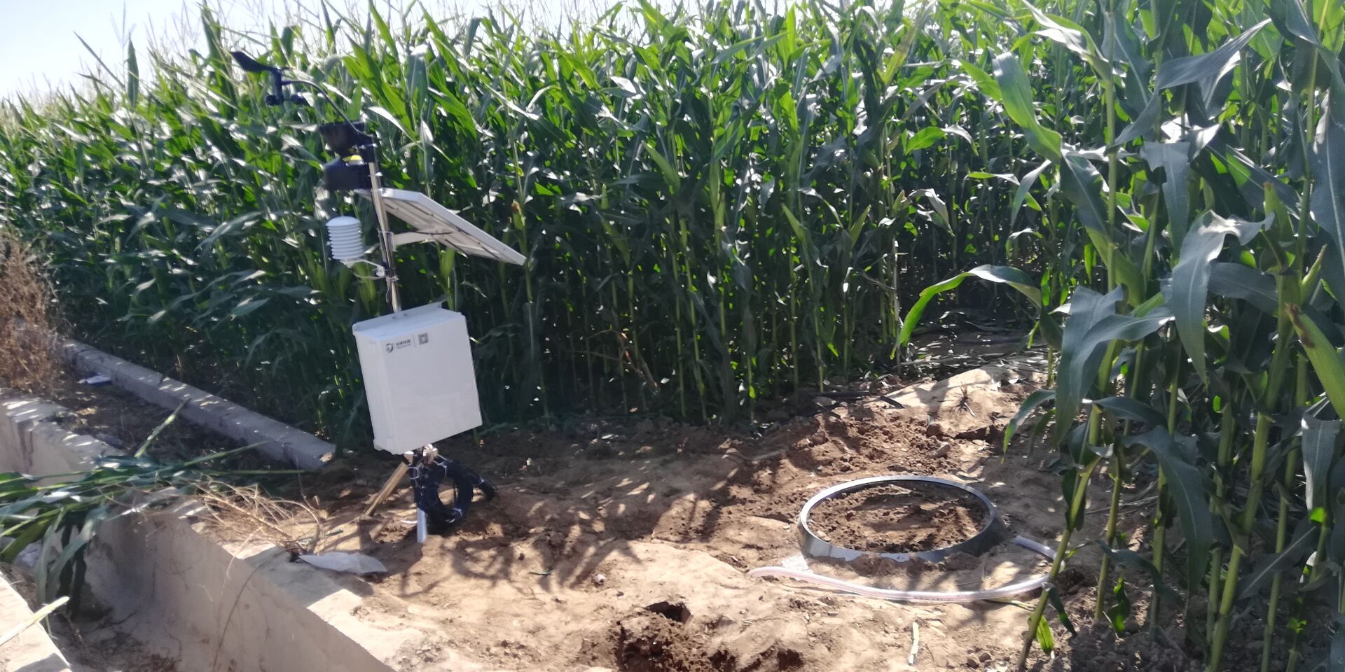 圖片關(guān)鍵詞