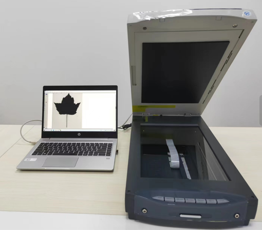 植物圖像分析系統(tǒng)