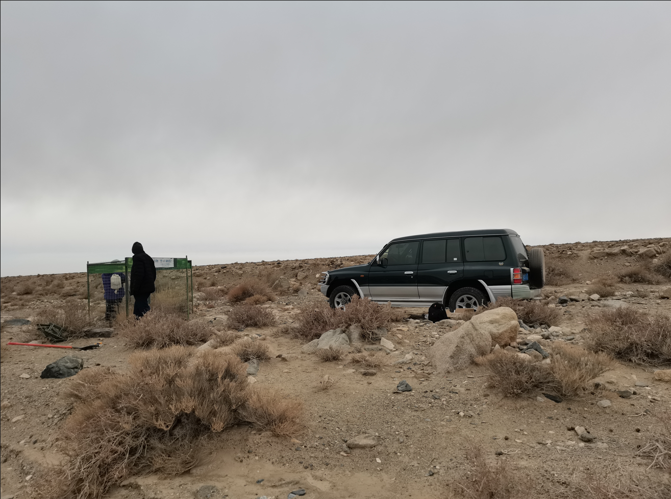 敦煌肅北植物研究 敦煌肅北植物研究