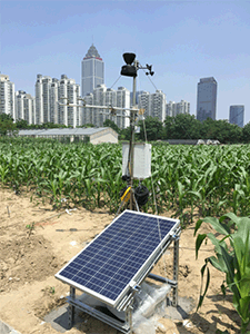 植物生理生態監測-點將科技