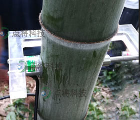 圖片關(guān)鍵詞