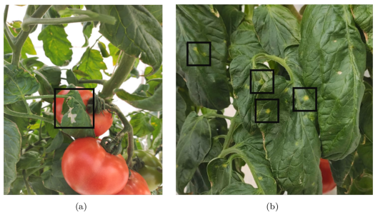 圖片關鍵詞 圖片關鍵詞