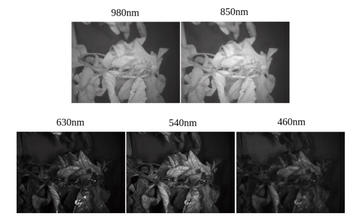 圖片關鍵詞 圖片關鍵詞
