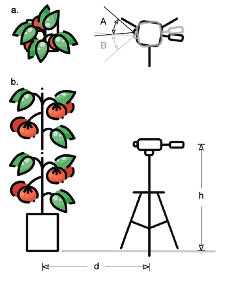 圖片關鍵詞 圖片關鍵詞