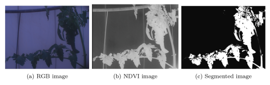 圖片關鍵詞 圖片關鍵詞
