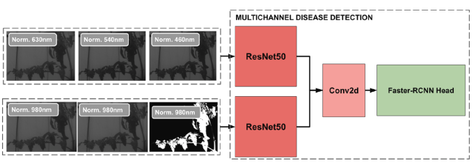 圖片關鍵詞 圖片關鍵詞