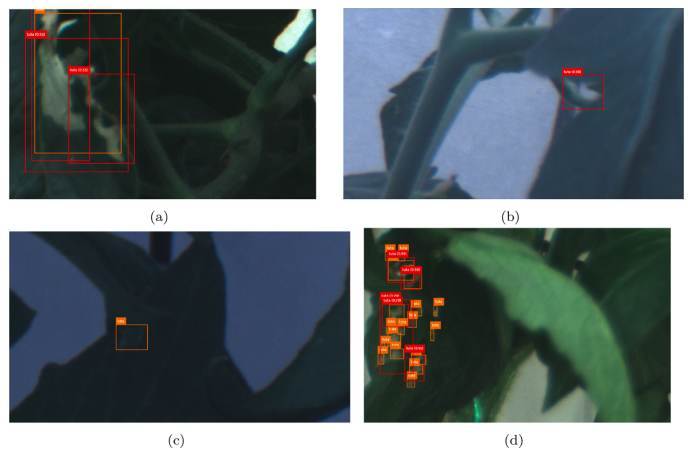 圖片關鍵詞 圖片關鍵詞