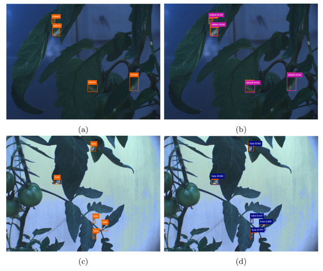 圖片關鍵詞 圖片關鍵詞