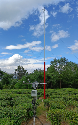 圖片關(guān)鍵詞