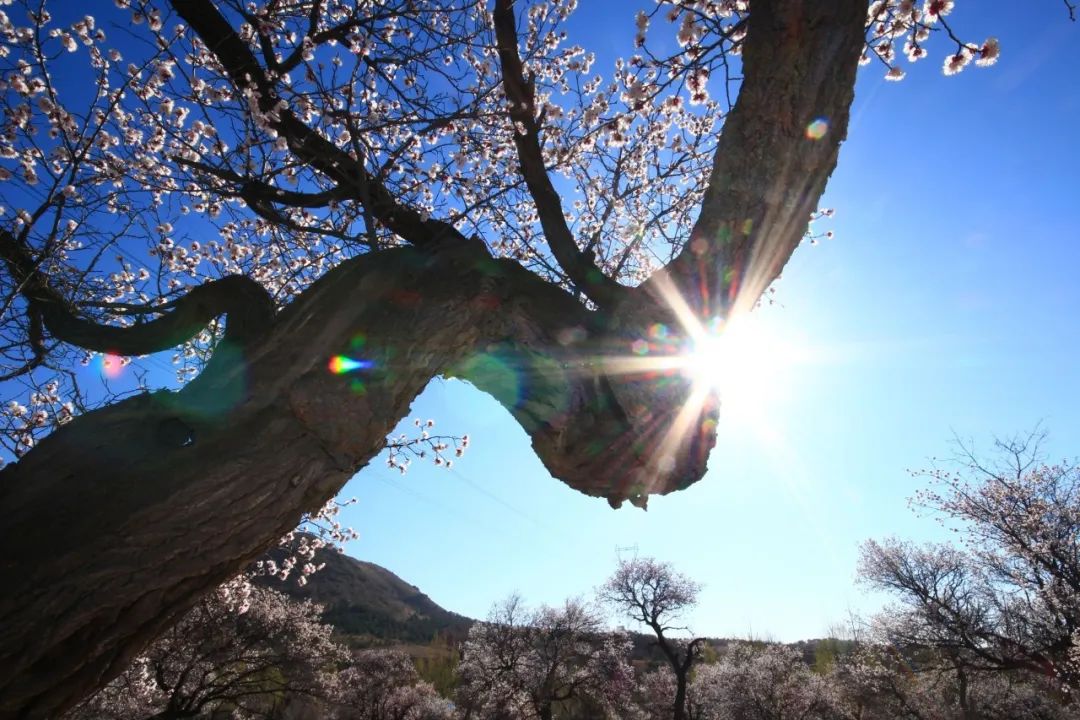 圖片關鍵詞 圖片關鍵詞