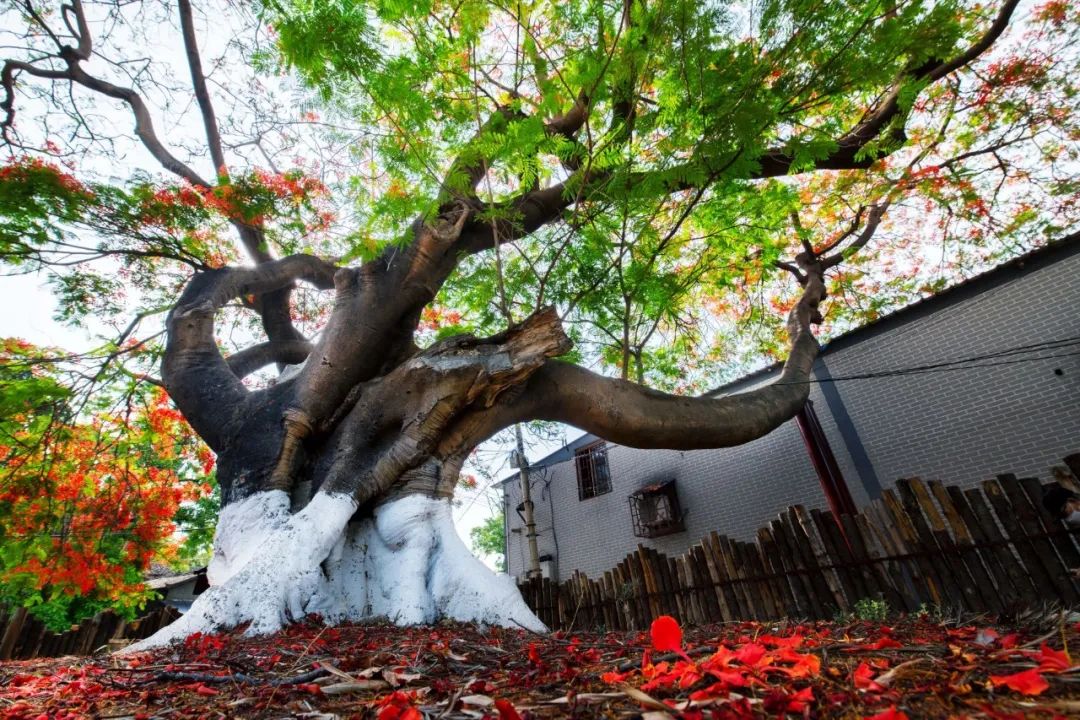 圖片關鍵詞 圖片關鍵詞