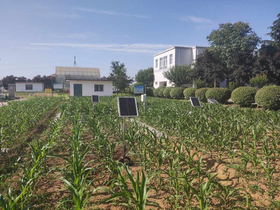 土壤三參數監測